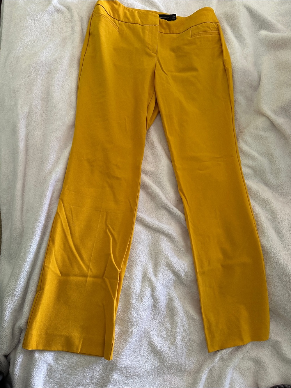 DATE NIGHT Mustard Yellow Dress Pants